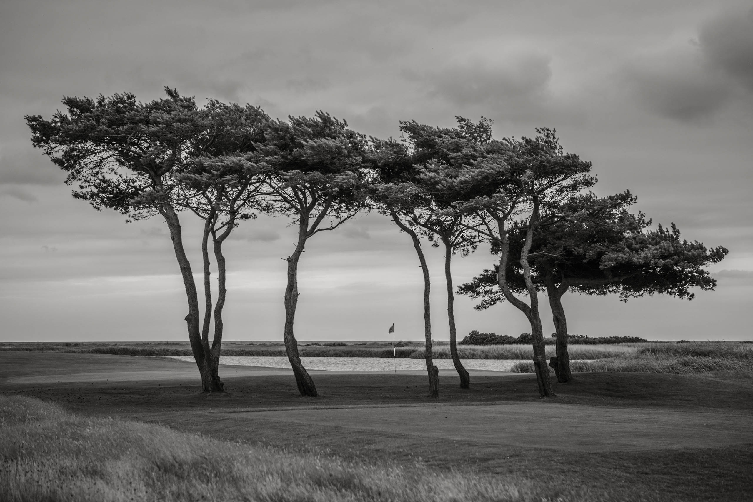 Married to the Game golf in Sweden