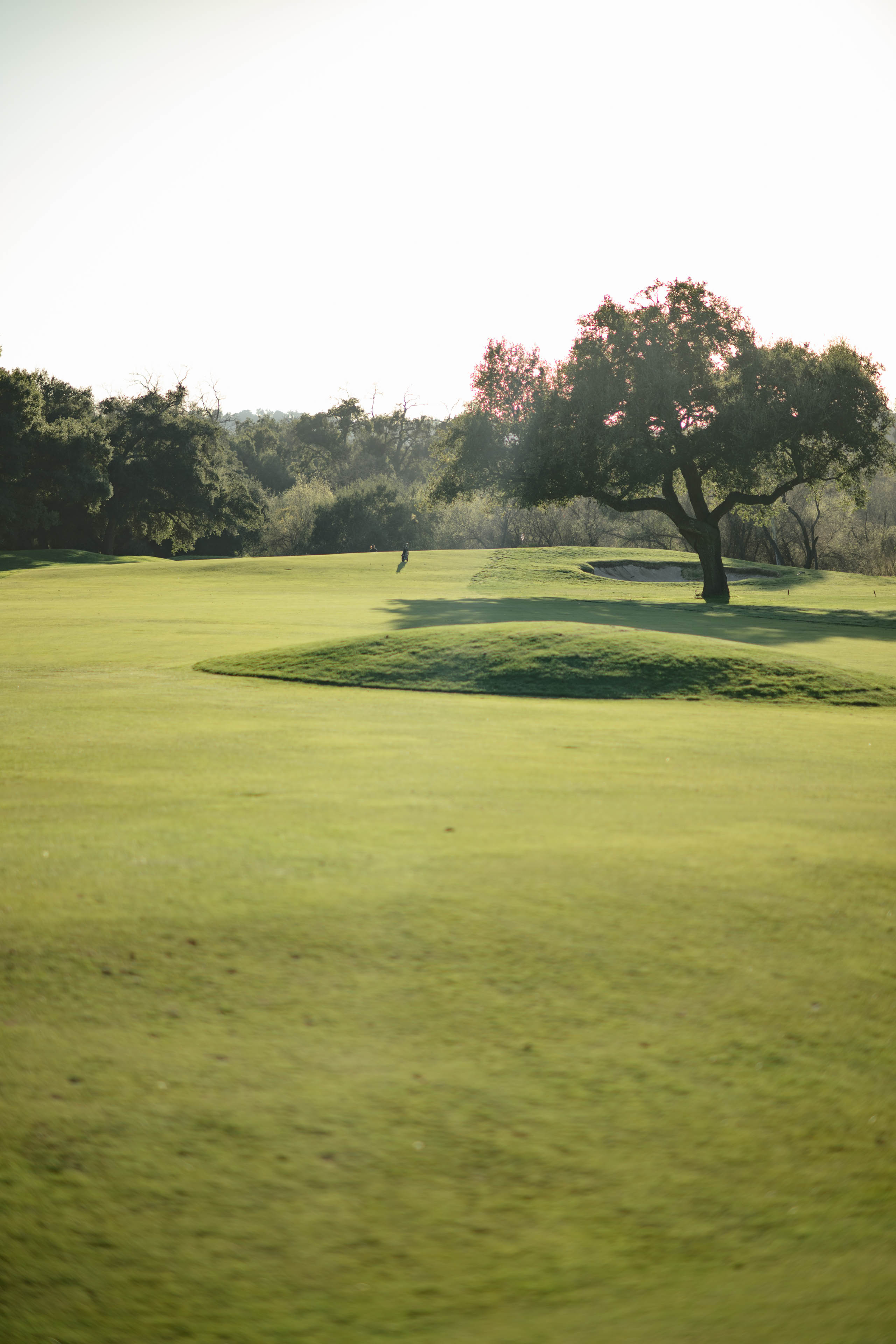 Soule Park No. 29