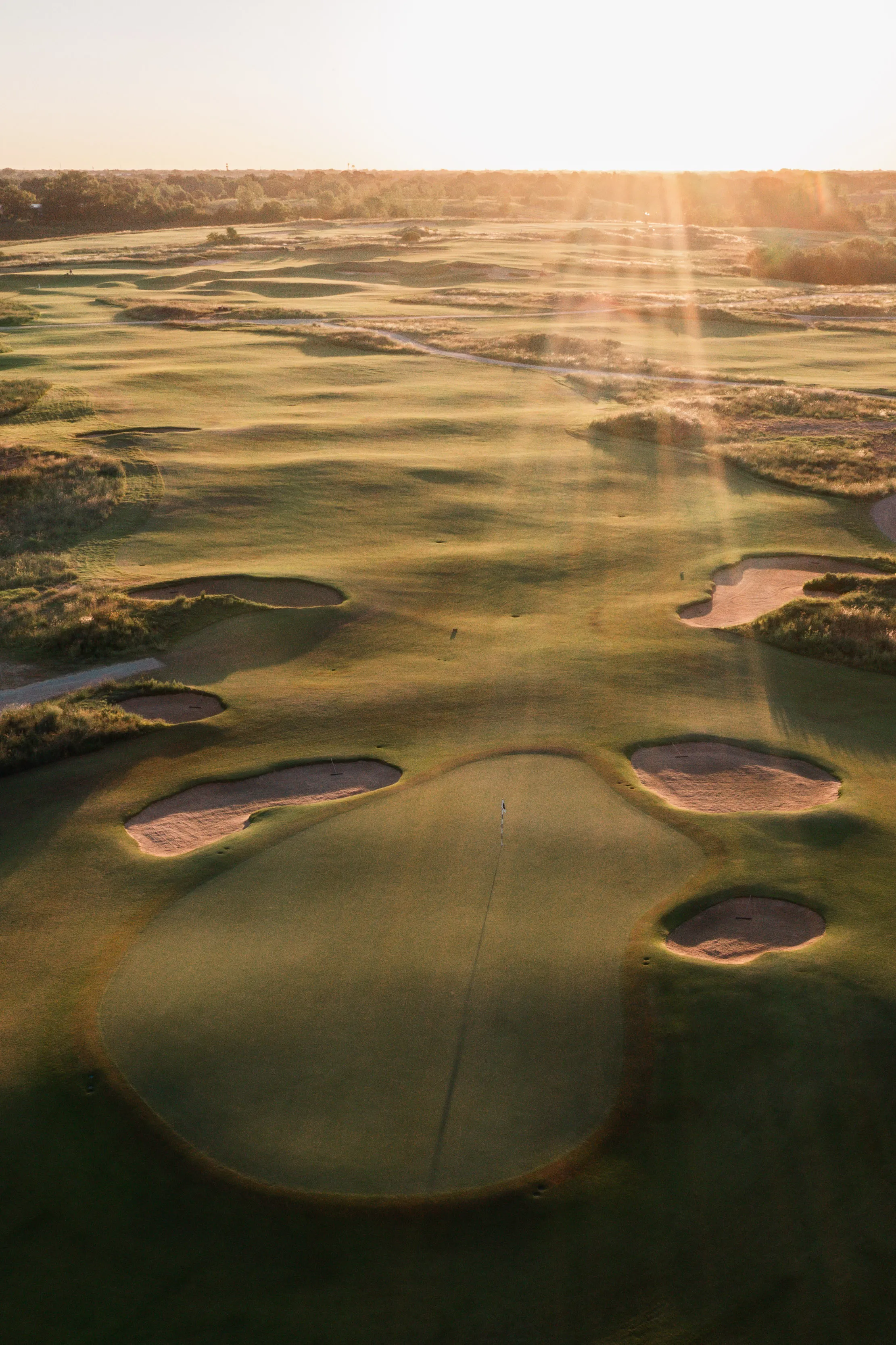 Trinity Forest