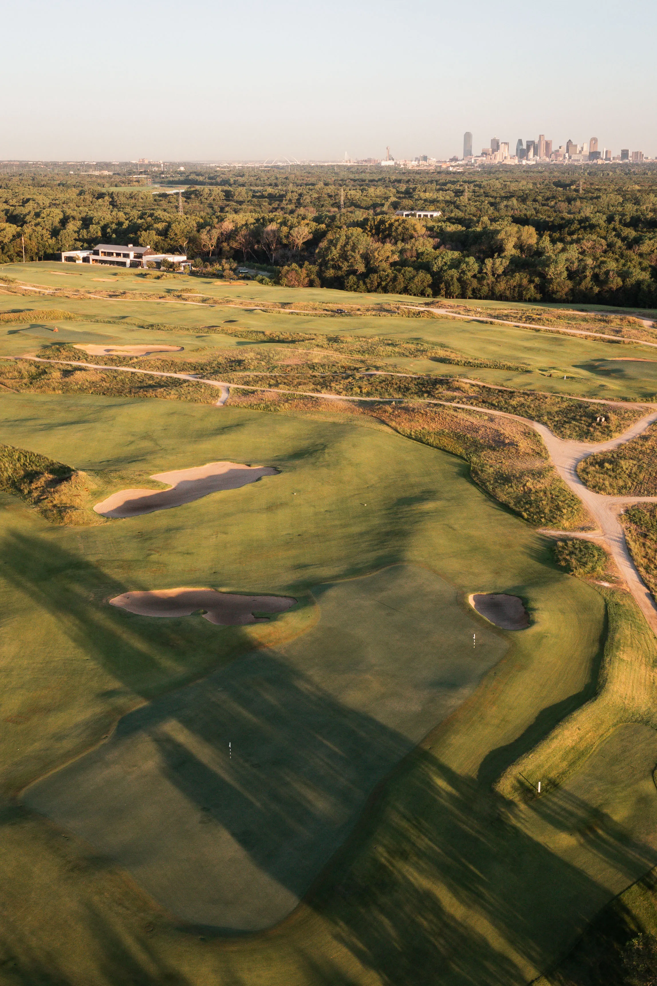 Trinity Forest